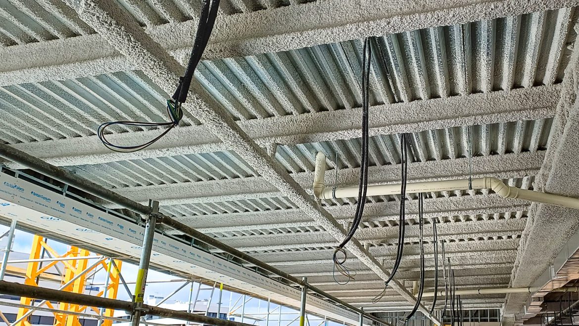 Biblio-concha-espina-por