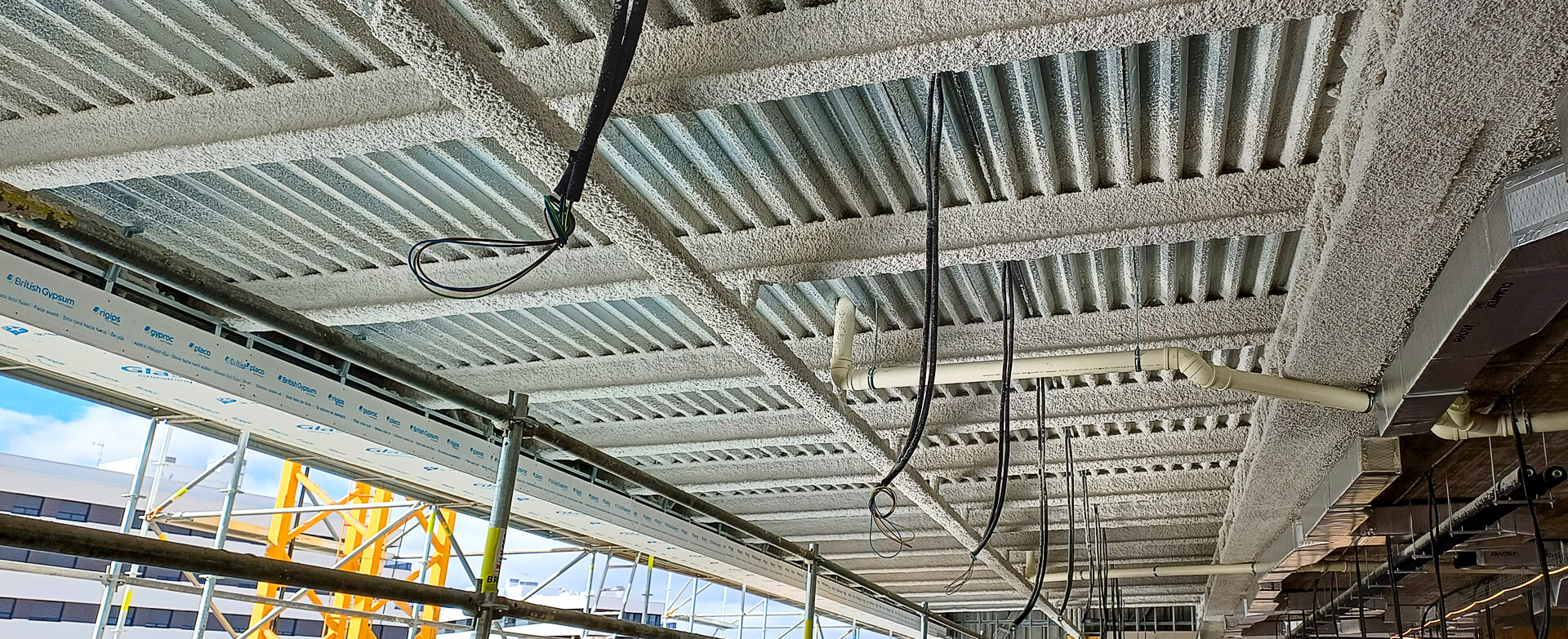 Biblio-concha-espina-por